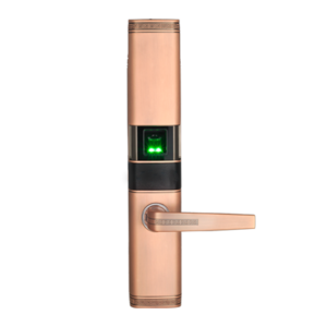 TL 200 FINGERPRINT LOCK WITH VOICE-GUIDED FEATURE