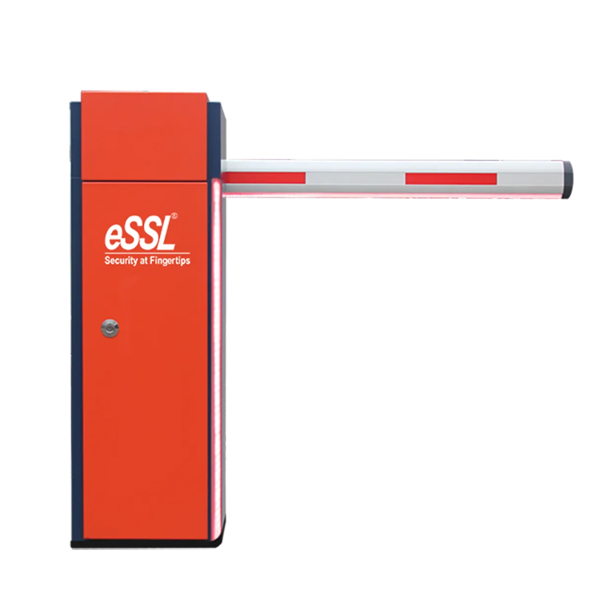 Biometric security device