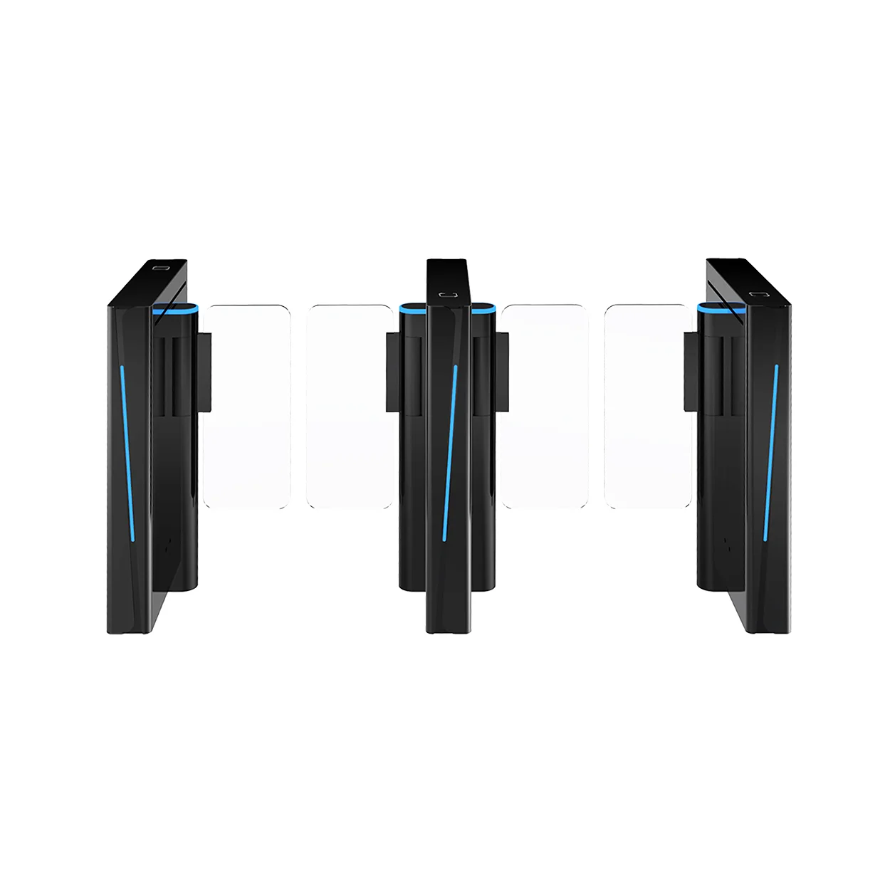 SB-ES-3218 Heavy Duty Swing Barrier by CDN Technologies